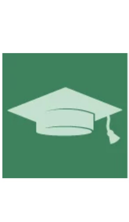 Duis at consectetur lorem donec